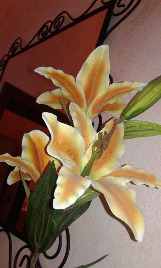 Il Giglio D'Oro Bed & Breakfast Arezzo Exterior foto